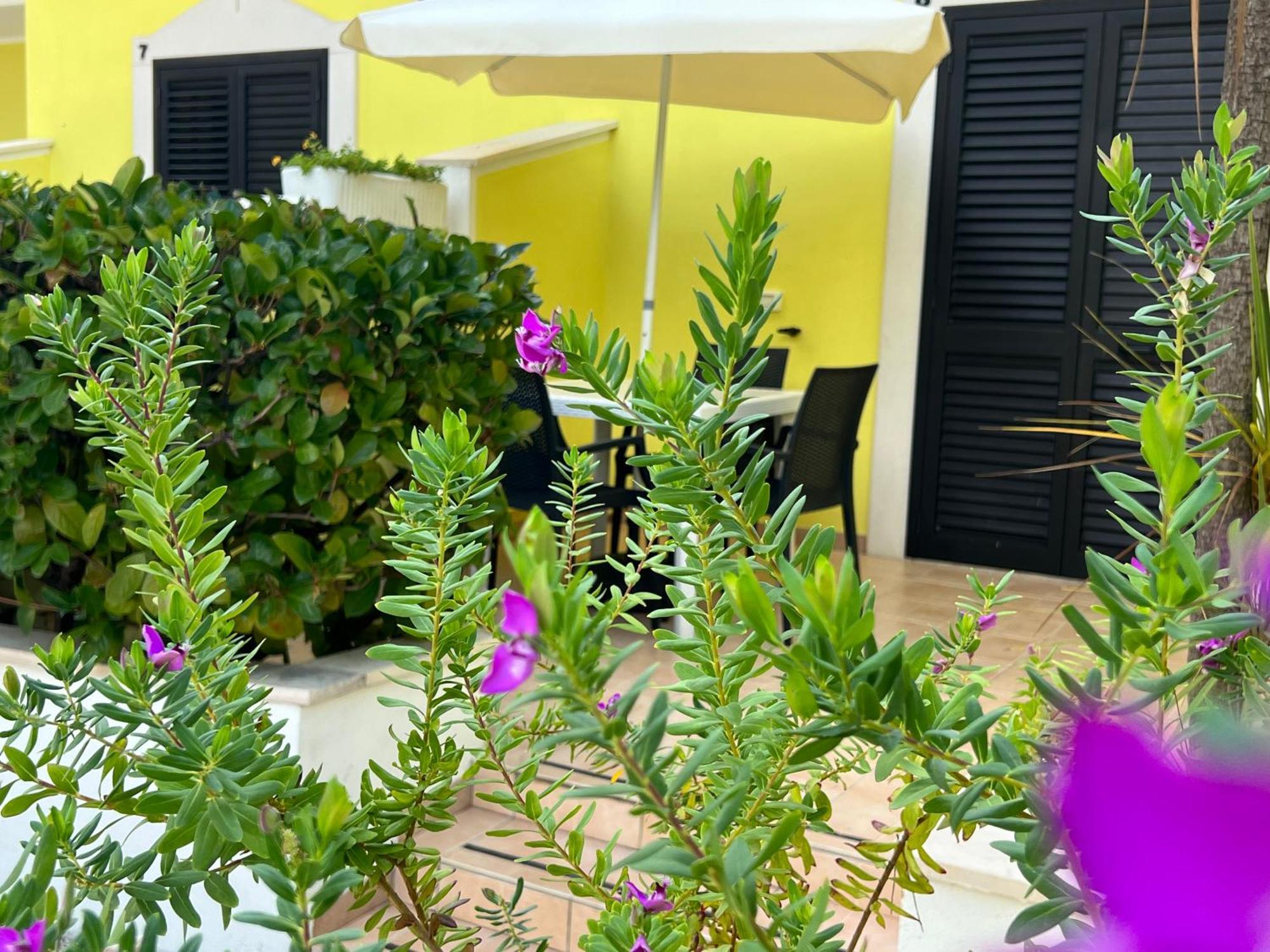 Argeste Club Vacanze Βιέστε Εξωτερικό φωτογραφία
